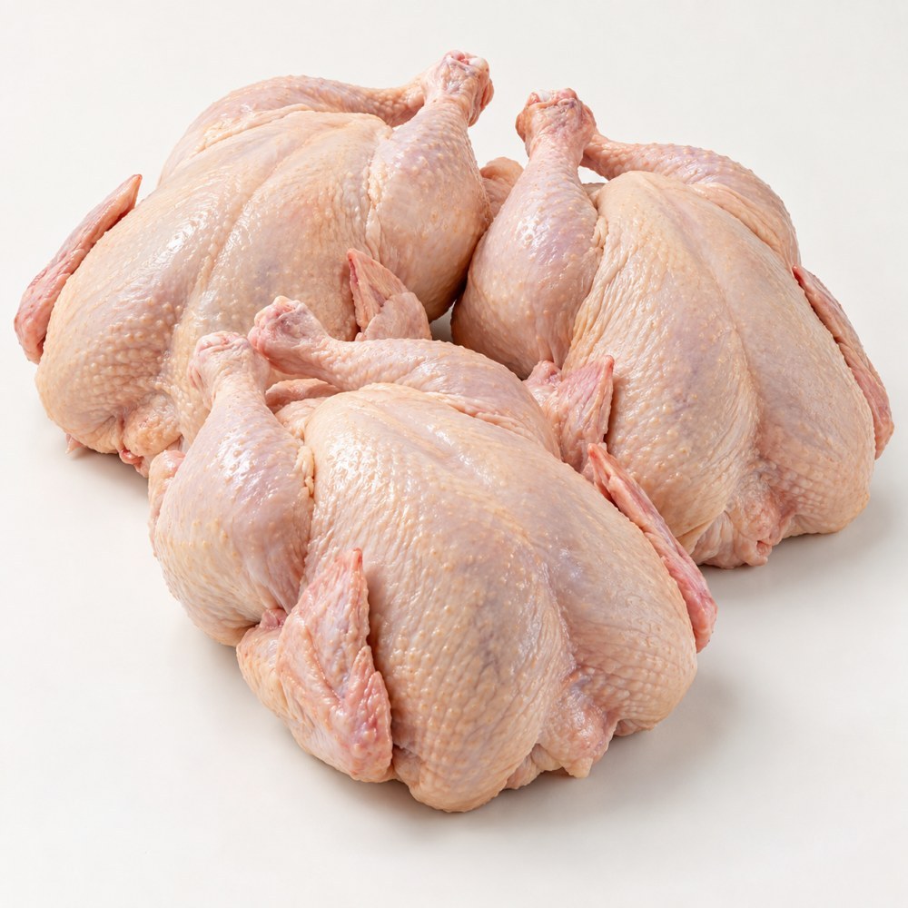 AYAM CARKAS (1 - 1,1 KG)