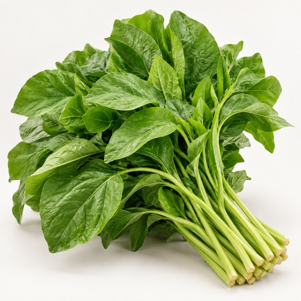 BAYAM